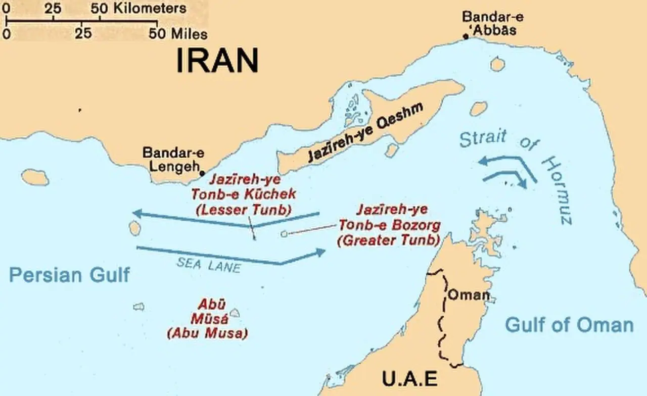 Satellite view of the Strait of Hormuz (Wikimedia Commons NASA image)—geographic chokepoint where much seaborne fertiliser trade normally transits; not a live shipping plot, fertiliser plant, or verified vessel positions.