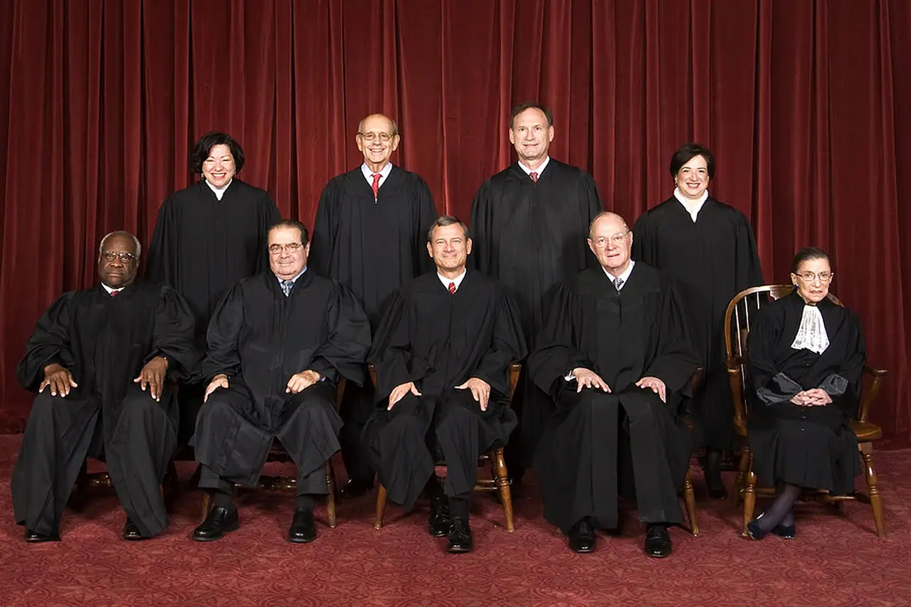 2010 official group photograph of the U.S. Supreme Court—institutional context for federal review of state election law, not a depiction of how the current bench ruled in this matter.